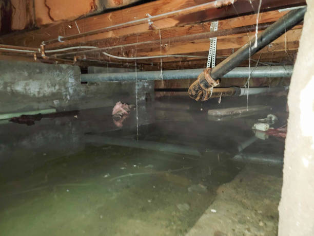 Water damage restoration experts in AL