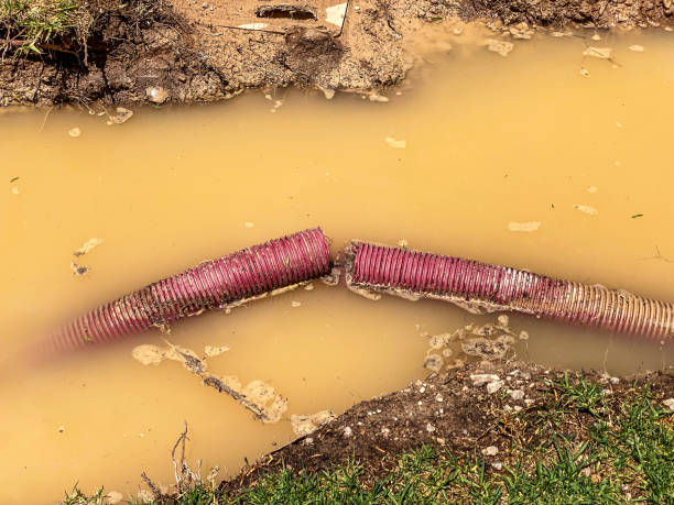 Best Mold removal after water damage  in Saks, AL