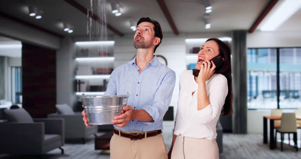 Best Water damage restoration services  in Saks, AL