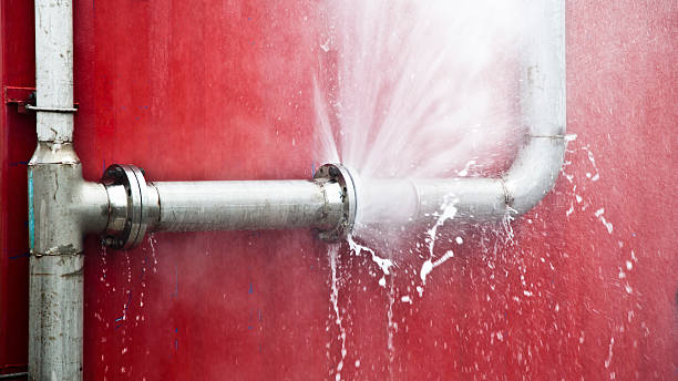 Best Basement water damage restoration  in Saks, AL